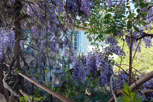 La Vieille Maison - Halte Gourmande Durfort-et-Saint-Martin-de-Sossenac Ngoại thất bức ảnh